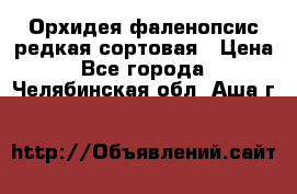 Орхидея фаленопсис редкая сортовая › Цена ­ 800 - Все города  »    . Челябинская обл.,Аша г.